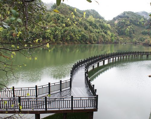 江西省崇义县国家AAAA森林公园工程案例